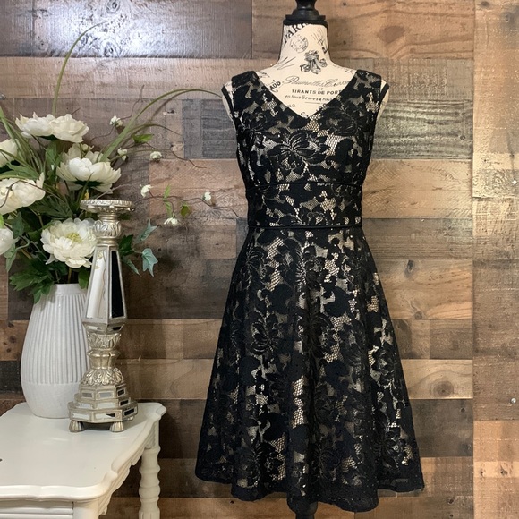 Tahari ASL Dresses & Skirts - 🍃🌸 Tahari ASL Dress Size 8P